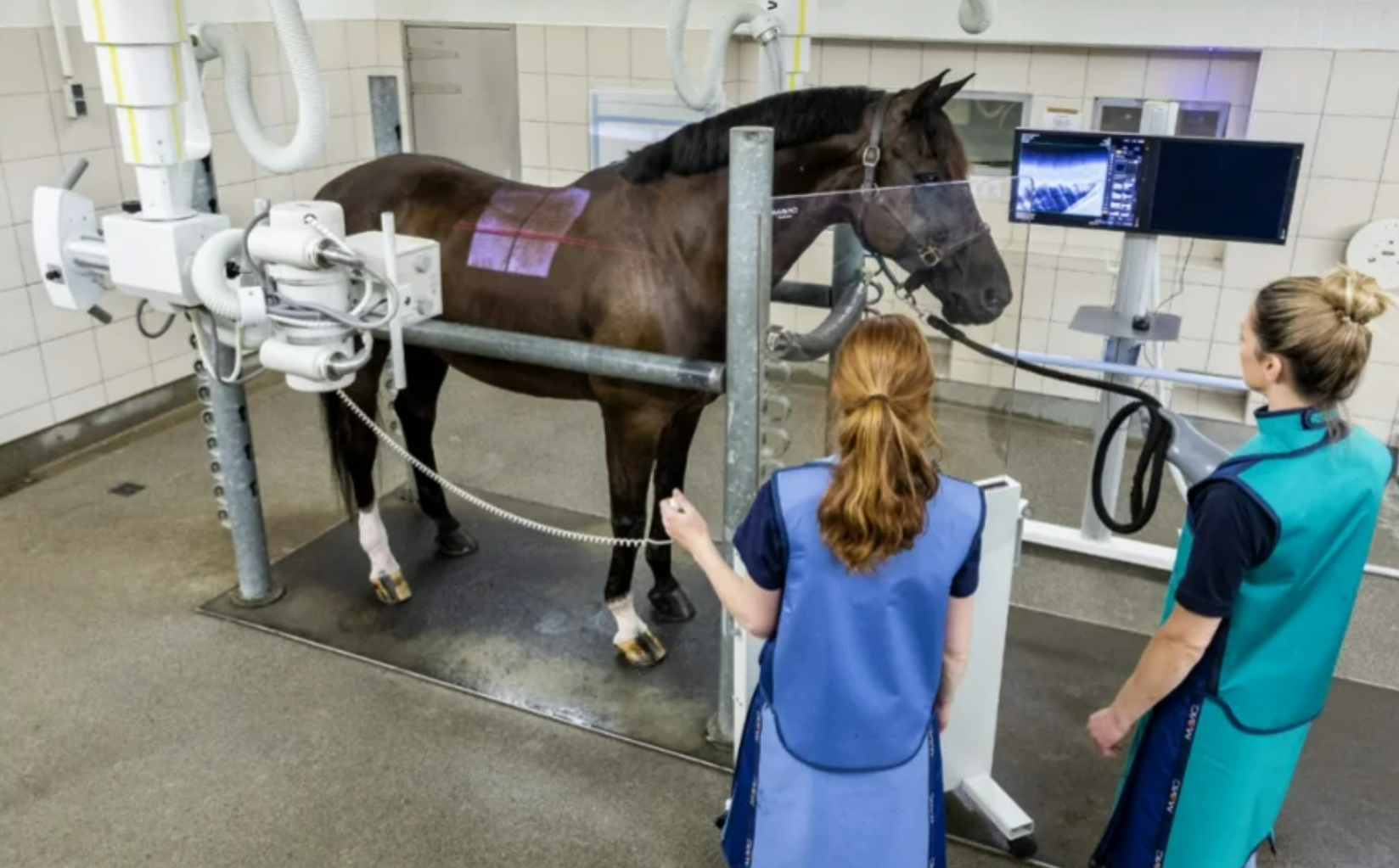 rontgen_dieren_kliniek